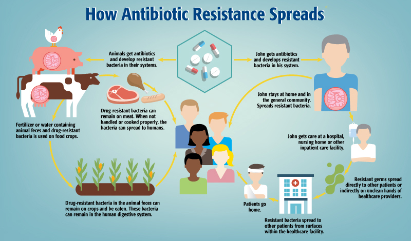 Anti Microbial Resistance