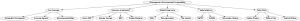 development env and sustainability_mindmap