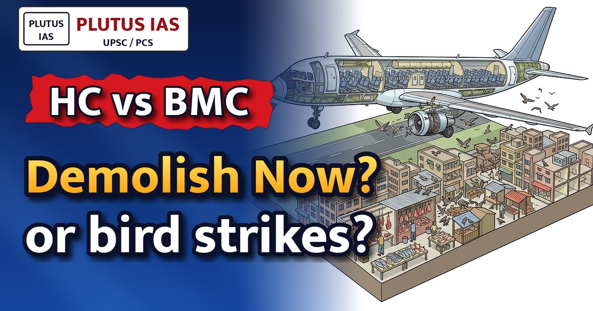 Bombay HC to BMC: Demolish illegal meat shops near Mumbai Airport
