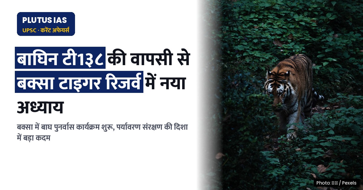 बक्सा टाइगर रिजर्व में वापसी: बिहार से आई बाघिन से शुरू हुआ नया अध्याय