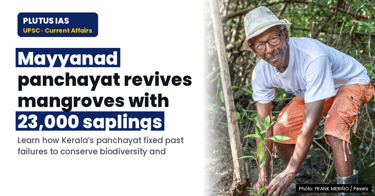 Mangrove Revival Mission in Keralam’s Mayyanad: Lessons from Past Failures