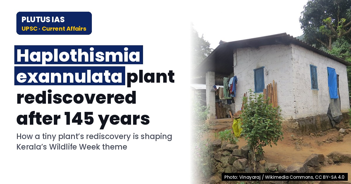 Rediscovered plant 'Haplothismia exannulata' inspires Wildlife Week in Kerala