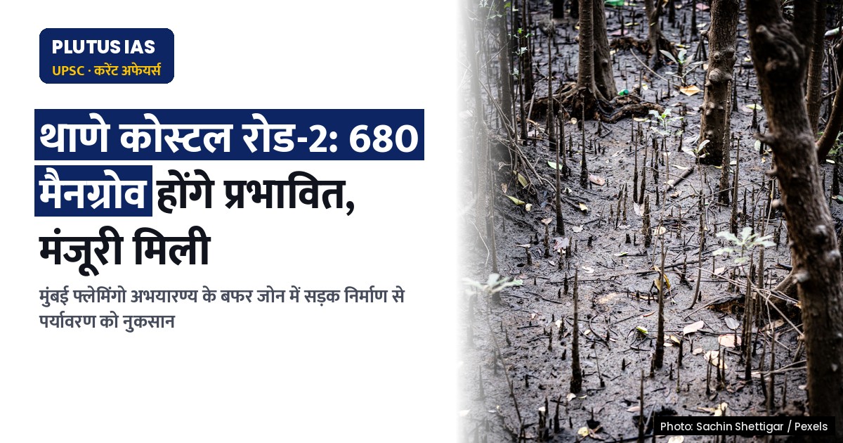 मुंबई फ्लेमिंगो अभयारण्य बफर जोन में सड़क निर्माण: 680 मैनग्रोव होंगे प्रभावित