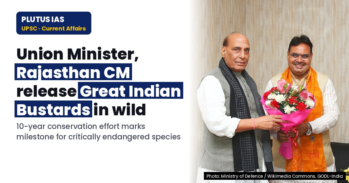 Great Indian Bustard Reintroduction: 10-Year Effort Bears Fruit in Rajasthan