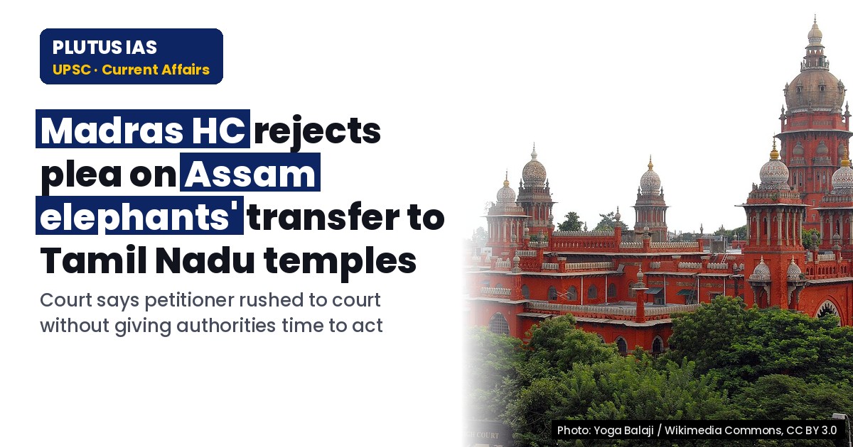 Madras HC Rejects Plea on Assam Elephants' Transfer to Tamil Nadu Temples