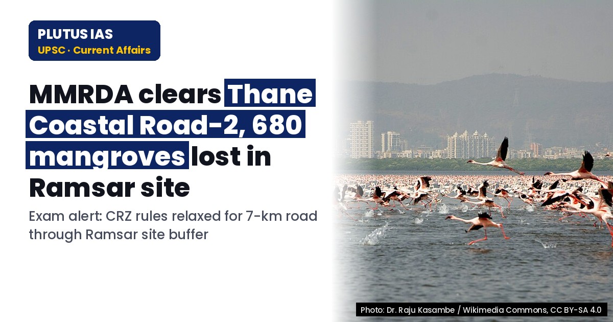 MMRDA’s Thane Coastal Road-2 Approved: 680 Mangroves Lost in Ramsar Site
